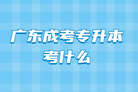 广东成考专升本考什么?