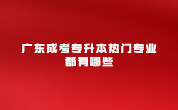 广东成考专升本热门专业都有哪些?