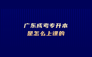 广东成考专升本是怎么上课的?