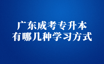 广东成考专升本 有哪几种学习方式