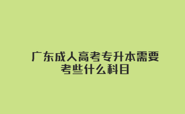 广东成人高考专升本需要考些什么科目?