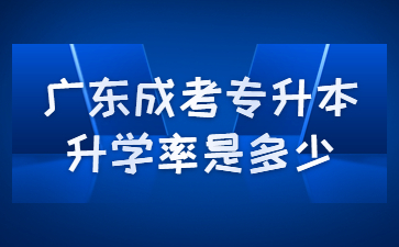 广东成考专升本升学率是多少?