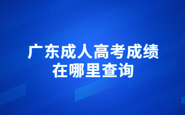 广东成人高考成绩在哪里查询?