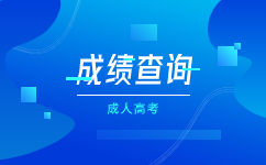 2023广东省成人高考怎么查询成绩?