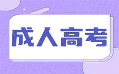 广东成考毕业论文