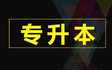 全国成考疯狂地区排行