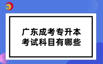 2025年广东成考专升本考试科目有哪些