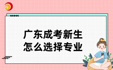 广东成考新生怎么选择专业