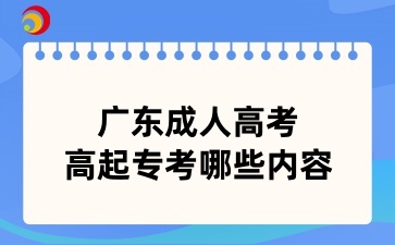广东成人高考高起专考哪些内容